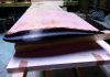 Saumons Empennage Horizontal
