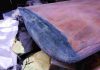 Saumons Empennage Horizontal